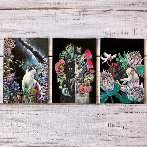 オリジナルポストカード3枚セット 「星降るキノコの森」「キメラ」「眠る子猫」