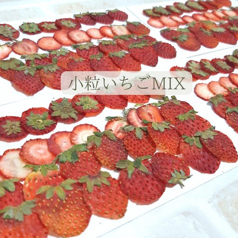 【アウトレット】押しフルーツ 小粒いちごMIX