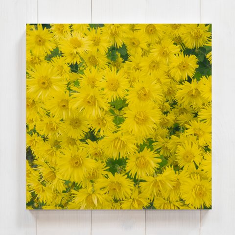 黄色い花束　正方形キャンバスプリント・ファブリックパネル  絵画風の写真でワンランク上のお部屋に