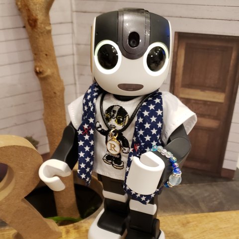 RoBoHoN ロボホン ロボホンのアクセサリー