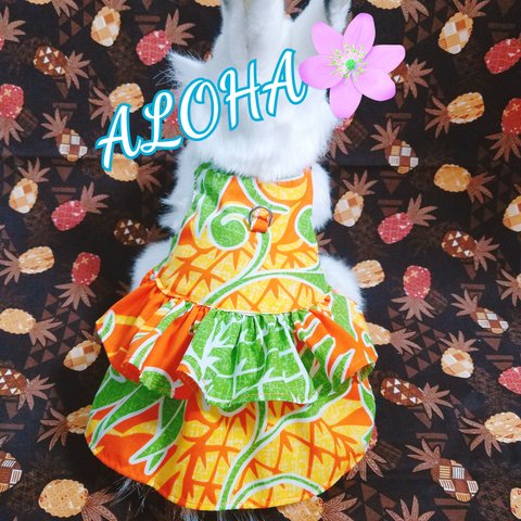 alohaワンピース♡うさぎのハーネス♡ハワイアンファブリック