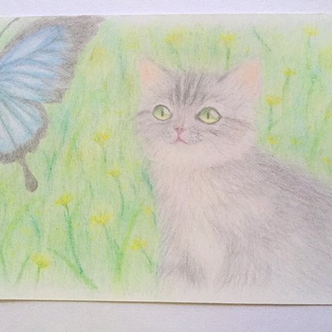 手描きイラスト 猫と蝶
