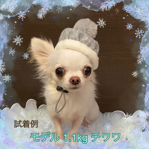 ⛄️雪あそび✨ベレー帽パピーサイズ🐕‍🦺🐇🐈‍⬛