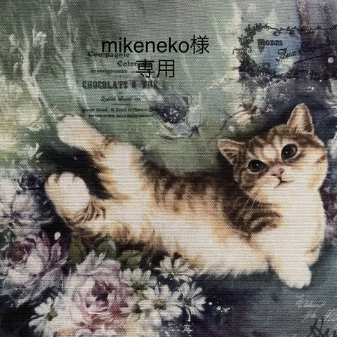 mikeneko様  専用