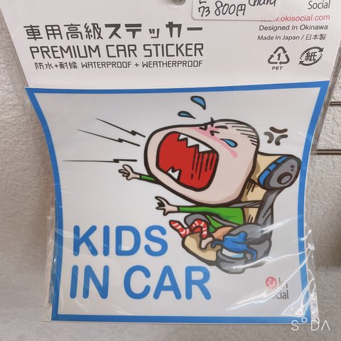 kids in car