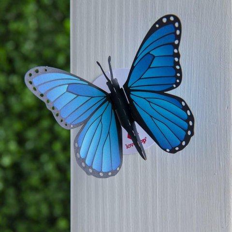 ステッカー Blue Morpho Butterfly (5パック)