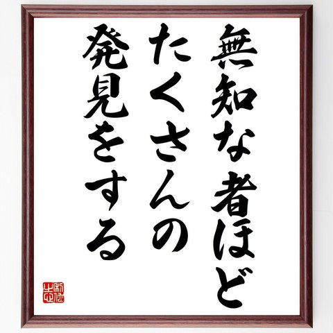 名言「無知な者ほど、たくさんの発見をする」額付き書道色紙／受注後直筆（Y2361）