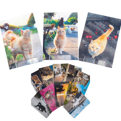 さちクリアファイル3枚＆ポストカード10枚セット　Sachi A4 file folder 3piece&Original Postcard 10piece