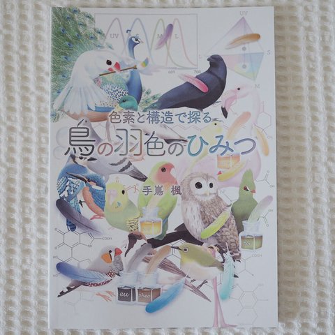 『色素と構造で探る鳥の羽色のひみつ』