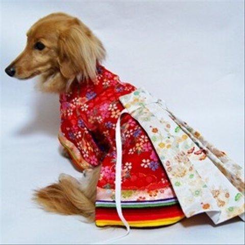 成長を特別な着物で祝う喜び❤️犬着物❤️オーダーメイド「十二単」一越ちりめん・西陣織金襴織物等使用《受注生産》犬服☆フルオーダー