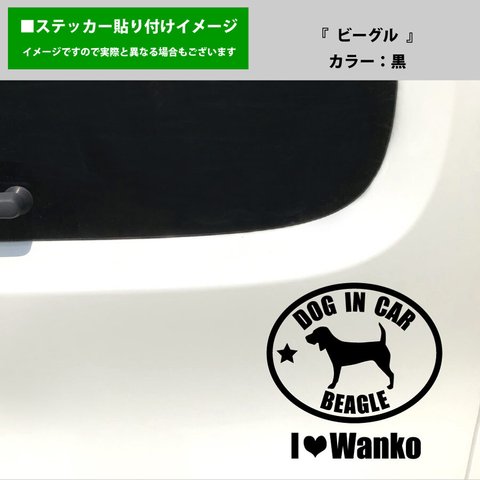 かわいい ビーグル 犬 ドッグインカー dog in car 車 ステッカー シール