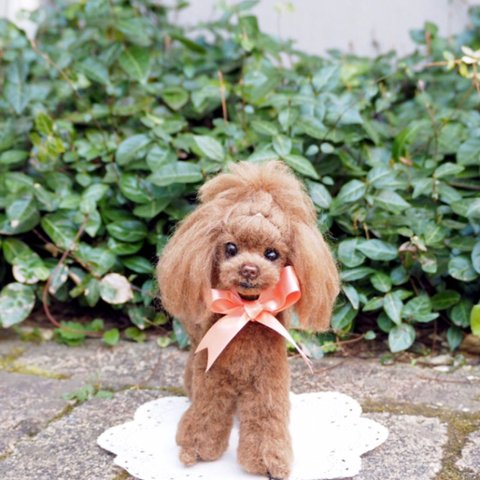 オシャレな小麦ちゃんとリスさん