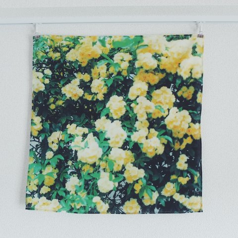 花の写真をプリントしたハンカチ　大判　薔薇　黄色