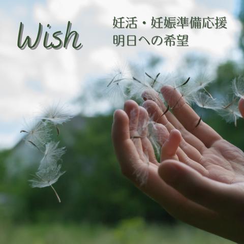 Wish　妊活・妊娠準備応援 明日への希望  ティーパック