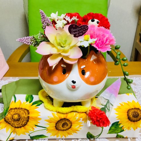 母の日もっちりコーギーポット🐶💐