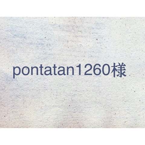 ●pontatan1260様専用ページ●