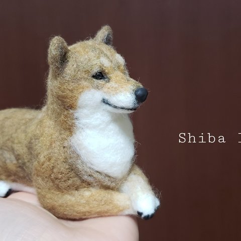 【期間限定の値引き中】Shiba inu.