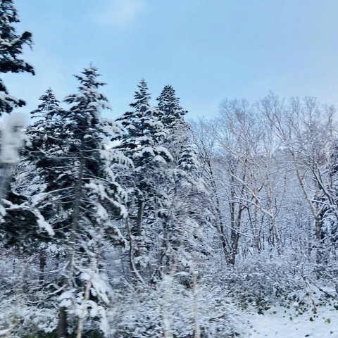 北海道の景色シリーズ「冬」パネル