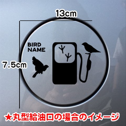 【期間限定お値下げ中!1200円→1000円】文鳥 鳥 ステッカー リアガラス 給油口 車 愛鳥