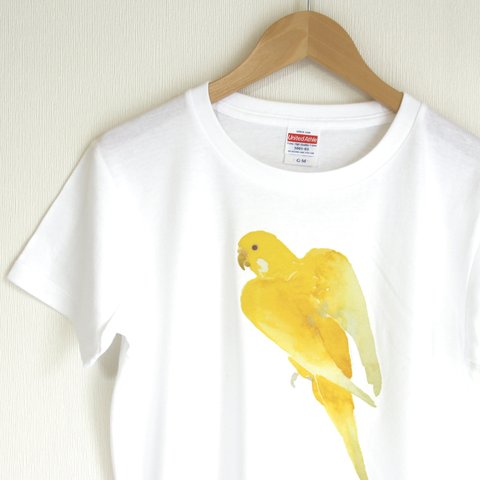 p-jet　セキセイインコ (ルチノー) Tシャツ　/　鳥　インコ