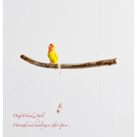 流木インテリア  シンプルな天然流木の小鳥の止まり木 吊り下げタイプ インコ 鳥 ブランコ 自然木 No.17