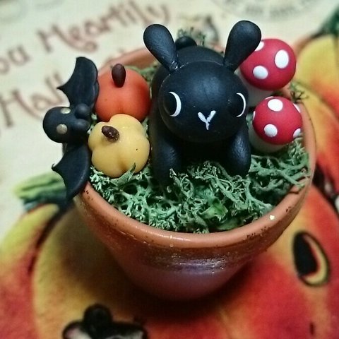 黒うさぎハロウィン