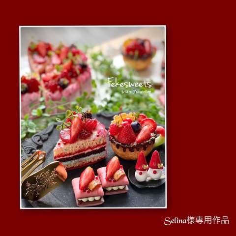 Selina様専用作品    sweets set①