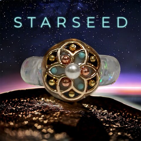 STARSEED （宇宙からの星の種‎𖤐 ̖́-‬）～物語のある宝石～