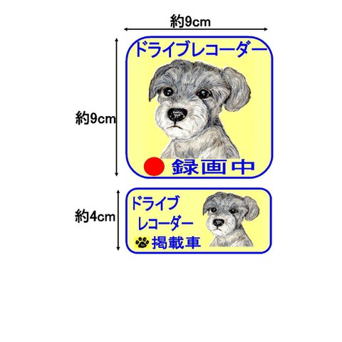  犬　ミニチュアシュナウザー（色鉛筆画）オリジナル防犯ステッカー・シール