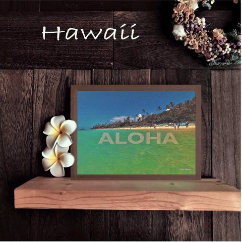 【送料無料】南国の風景☆HAWAII No.626                                フレーム付    A4サイズ