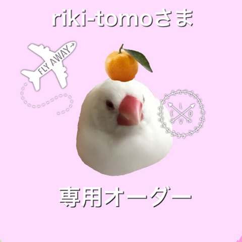 riki-tomoさま　専用オーダーページ！