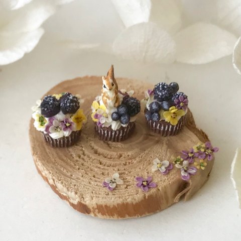 シマリス★ブルーベリーとビオラのカップケーキセット★