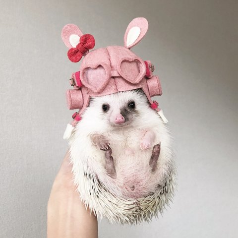 小動物用帽子 パイロット帽  うさぎ (cap for small animals)