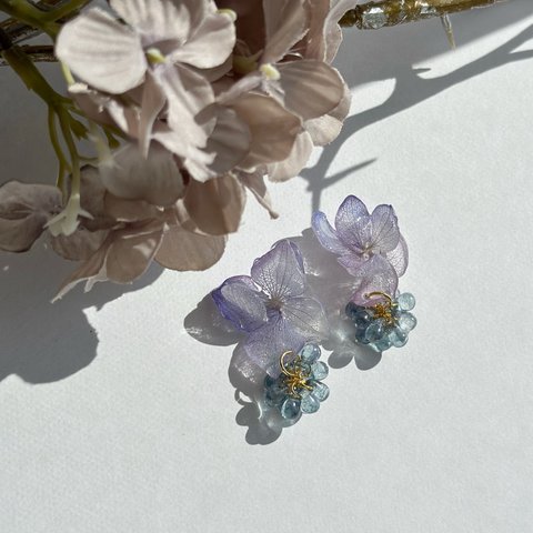    溢れる紫陽花の梅雨ピアス・イヤリング本物の紫陽花