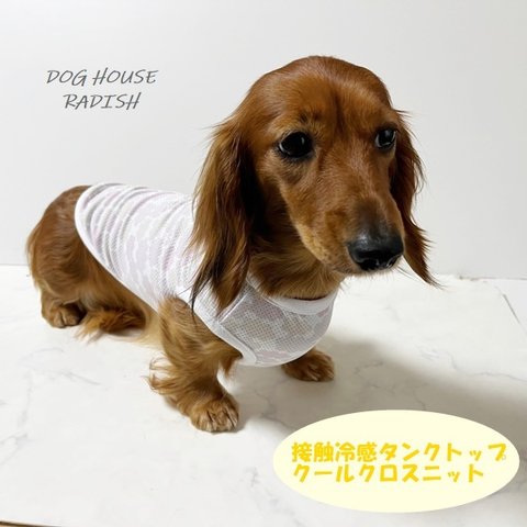 接触冷感タンクトップ くも柄  【ピンク】 Dog 犬服 ドッグウェア 夏 クール 雲