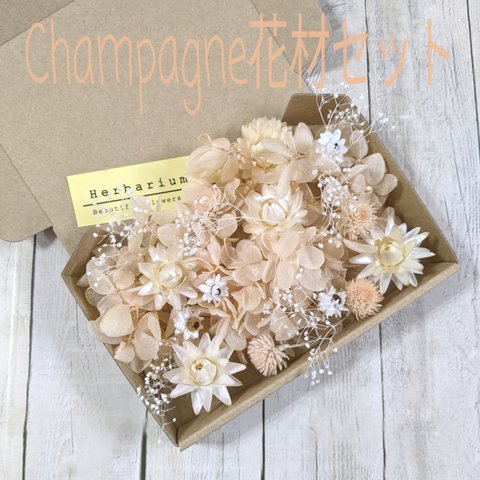 Champagne☆花材セット