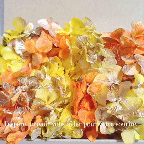 イエロー オレンジ ゴールド　ゆめあじさい　プリザーブドフラワー　加工花材　ハーバリウム　花材