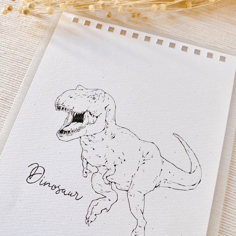 dinosaur①