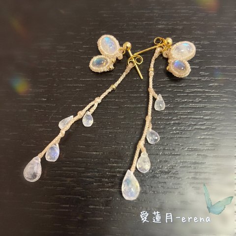 【SALE中】月の蝶々ピアス