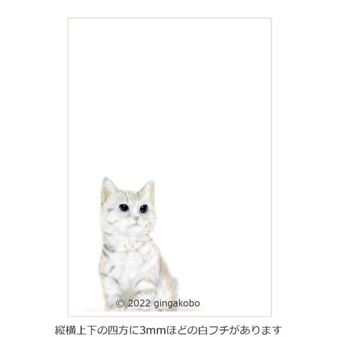 「とことわをみつめて」 猫　ほっこり癒しのイラストA4サイズポスター　No.1015