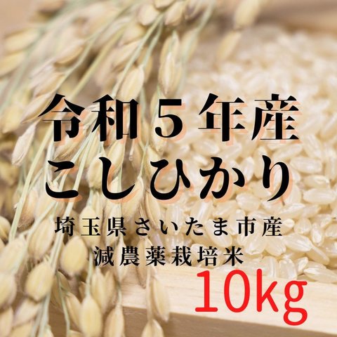 ◆コシヒカリ10kg◆令和５年産◆埼玉県さいたま市産◆精米玄米選択可◆