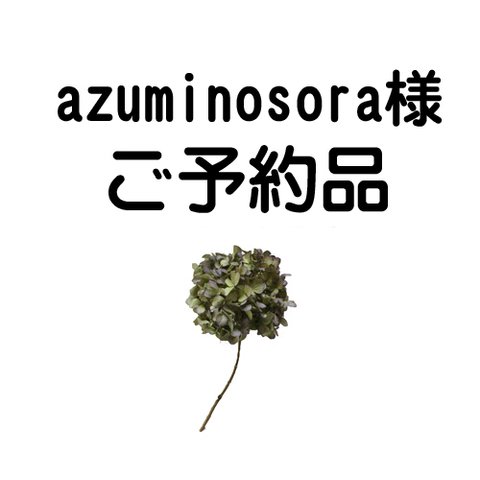 【azuminosora 様ご予約品】▼ちび衿・ギャザーたっぷりブラウス▼８分袖