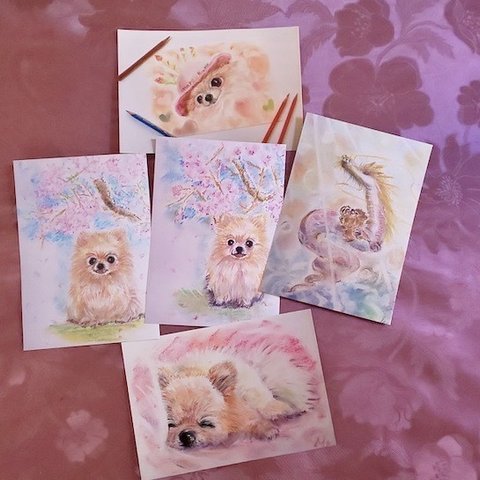Mielと11色のお好きな絵を小さくプリント・５枚組: イラスト 犬 