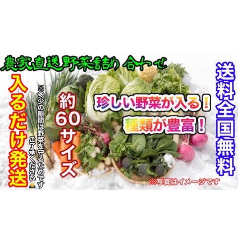 おまかせ冬野菜詰め合わせ約60サイズ入るだけ発送