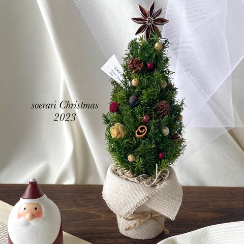 【再販×12】2023 小さな森のクリスマスツリー  クリスマスアレンジ★赤ver.