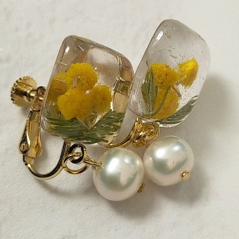 大人かわいいミモザと淡水パールイヤリング🌼ピアス