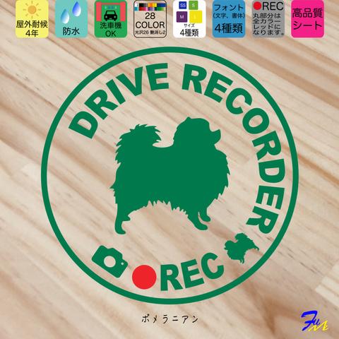 ポメラニアン ⑦ ドライブレコーダー ステッカー ドラレコ