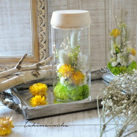 【 yellow 】✽冬の夜に✽優しくお花を照らす✽心安らぐ lamp flower S size	