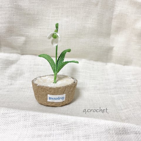 手編みのスノードロップみたいな植木