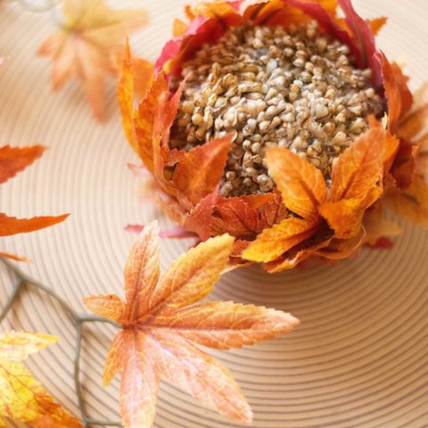 秋雨感じる　〜Autumn  bloom〜